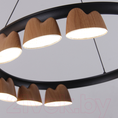 Люстра FAVOURITE 4266-9P