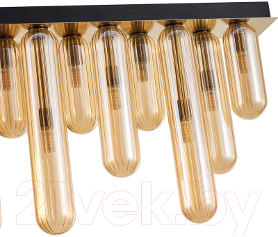 Люстра FAVOURITE 4455-12P