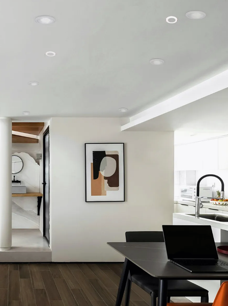 Точечный светильник FAVOURITE 4524-1C