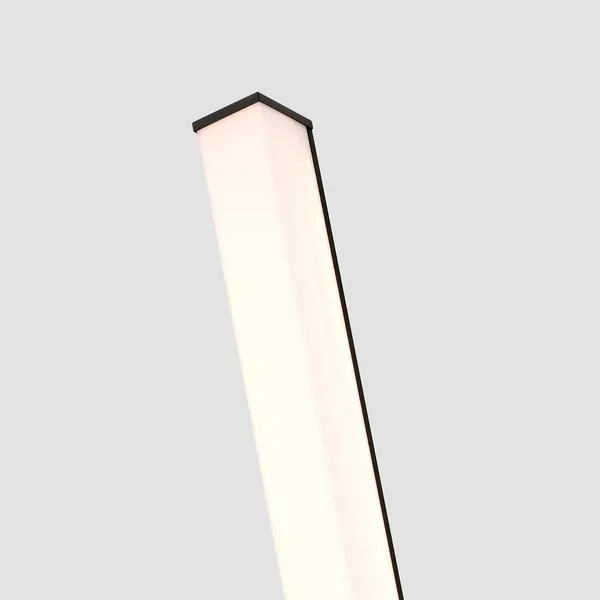 Светильник уличный FAVOURITE 4395-2W