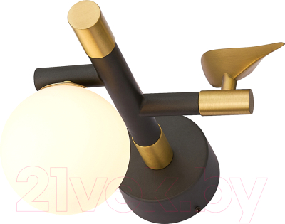 Бра FAVOURITE 4324-1W - фото