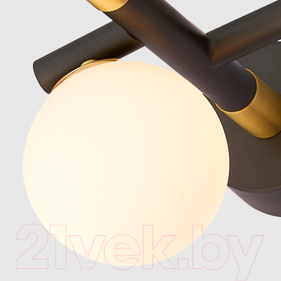 Бра FAVOURITE 4324-1W