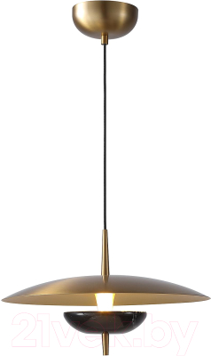 Потолочный светильник FAVOURITE 4246-1P - фото