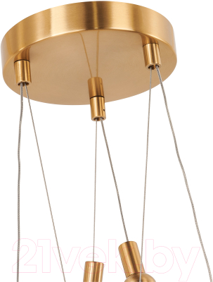 Люстра FAVOURITE 4559-3PC