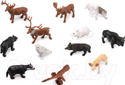 Набор фигурок коллекционных Konik Wildlife Лесные животные / AMW2141 - фото