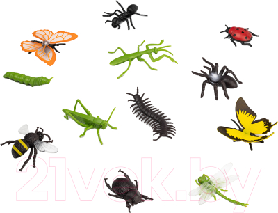 Набор фигурок коллекционных Konik Wildlife Насекомые Пауки / AMW2143 - фото