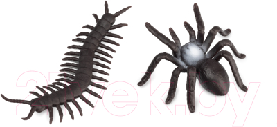 Набор фигурок коллекционных Konik Wildlife Насекомые Пауки / AMW2143