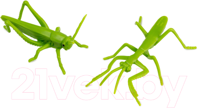 Набор фигурок коллекционных Konik Wildlife Насекомые Пауки / AMW2143