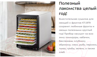 Сушильный шкаф для овощей и фруктов Kitfort КТ-1979