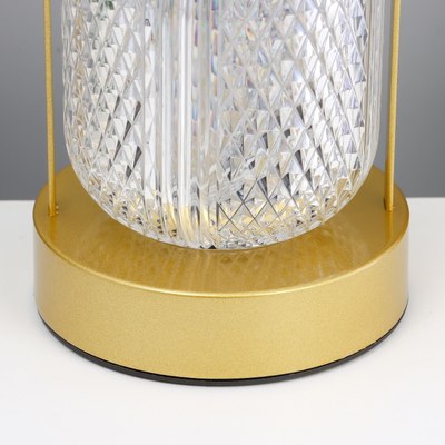 Ночник Risalux Лосен / 10189392