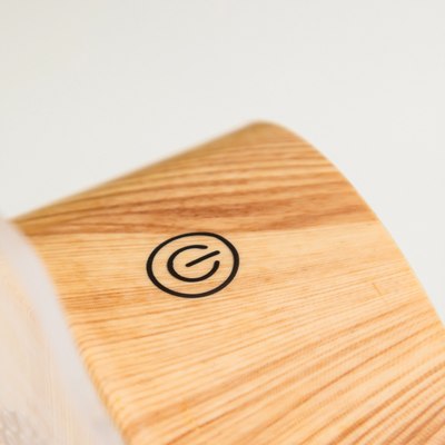 Ночник Risalux Глобус / 9809243