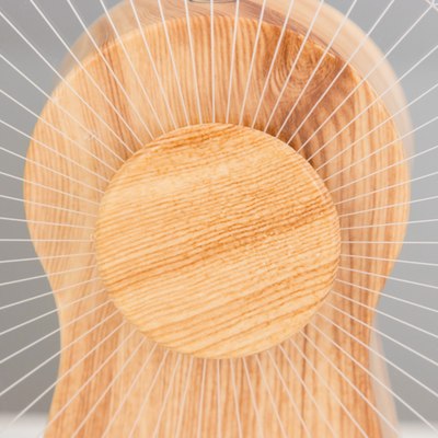 Ночник Risalux Колесо / 9809244