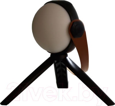 Декоративное освещение Risalux Аланди / 10193689 - фото