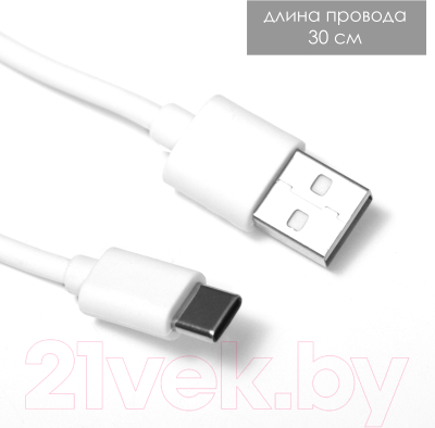 Декоративное освещение Risalux Аланди / 10193689