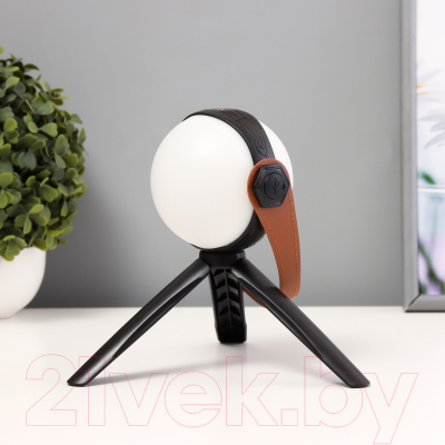 Декоративное освещение Risalux Аланди / 10193689