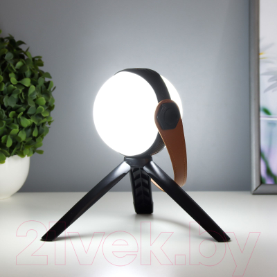 Декоративное освещение Risalux Аланди / 10193689