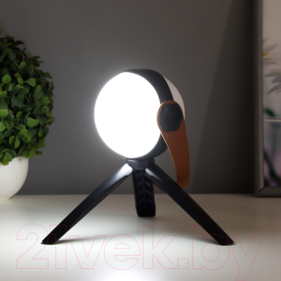 Декоративное освещение Risalux Аланди / 10193689