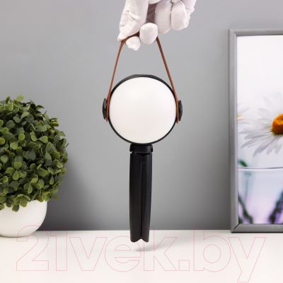 Декоративное освещение Risalux Аланди / 10193689