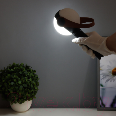 Декоративное освещение Risalux Аланди / 10193689