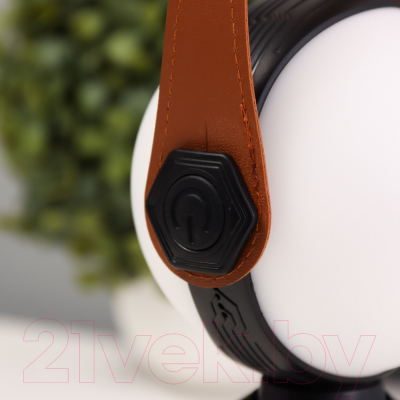 Декоративное освещение Risalux Аланди / 10193689