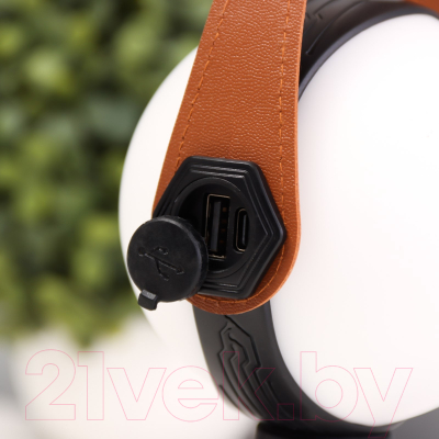 Декоративное освещение Risalux Аланди / 10193689