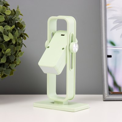 Ночник Risalux Рудс / 10189402