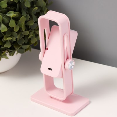 Ночник Risalux Рудс / 10400878