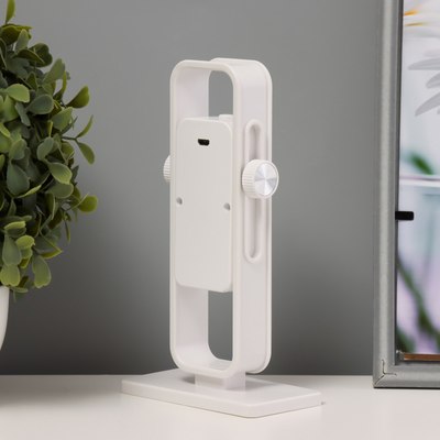 Ночник Risalux Рудс / 10400876