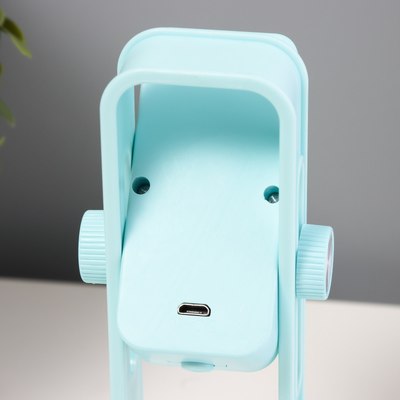 Ночник Risalux Рудс / 10400877