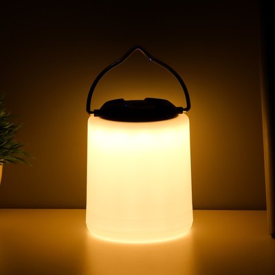 Декоративное освещение Risalux Фулли / 10184723