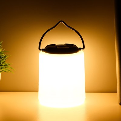 Декоративное освещение Risalux Фулли / 10184723