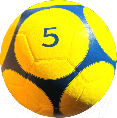 Футбольный мяч Gold Cup VS5 - фото
