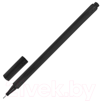 Набор капиллярных ручек Brauberg Art Classic / 144148