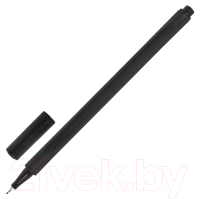 Набор капиллярных ручек Brauberg Art Classic / 144150