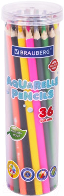 Набор акварельных карандашей Brauberg Premium Aquarelle / 181933 - фото