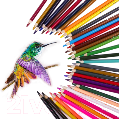 Набор акварельных карандашей Brauberg Premium Aquarelle / 181933