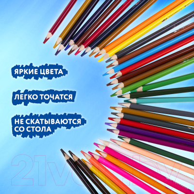 Набор акварельных карандашей Brauberg Premium Aquarelle / 181933