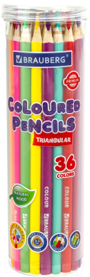 Набор цветных карандашей Brauberg Premium / 181934 - фото