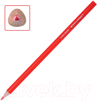 Набор цветных карандашей Brauberg Premium / 181934