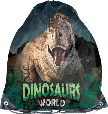 Мешок для обуви Paso PP23DZ-712 - фото