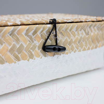 Коробка для хранения AksHome Dilon 24x14x8