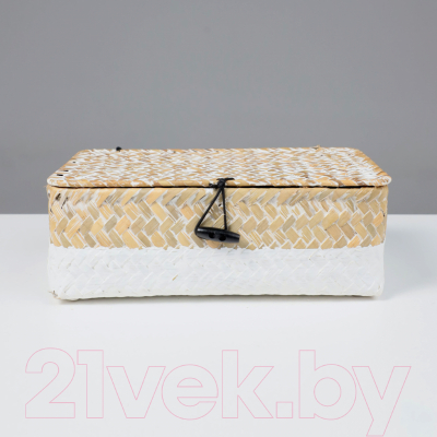 Коробка для хранения AksHome Dilon 24x14x8