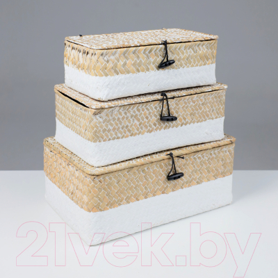 Коробка для хранения AksHome Dilon 24x14x8