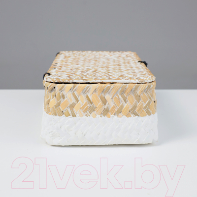 Коробка для хранения AksHome Dilon 24x14x8