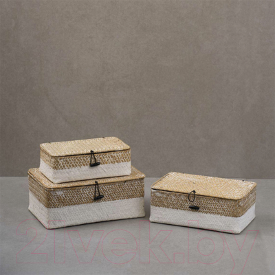 Коробка для хранения AksHome Dilon 27x17x10