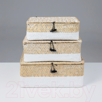 Коробка для хранения AksHome Dilon 27x17x10