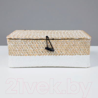 Коробка для хранения AksHome Dilon 27x17x10