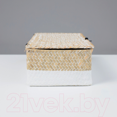 Коробка для хранения AksHome Dilon 27x17x10