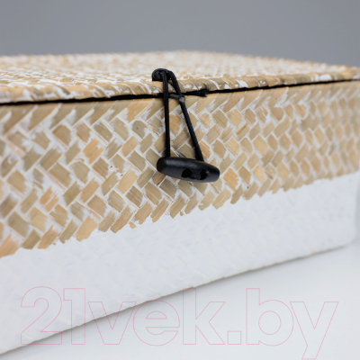 Коробка для хранения AksHome Dilon 27x17x10