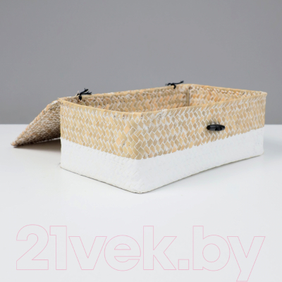 Коробка для хранения AksHome Dilon 27x17x10